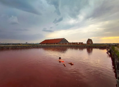 TOUR TO THE MUD BATHS 2